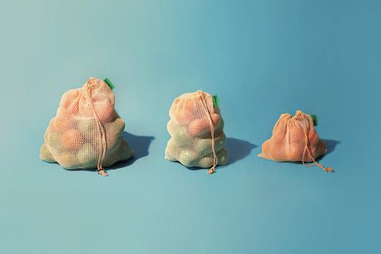 Reusable Produce Bags - Organic Cotton - Set of 9 - EcoRoots