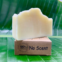 Soap Bar - Unscented - 4oz - Basic Bars Soap
