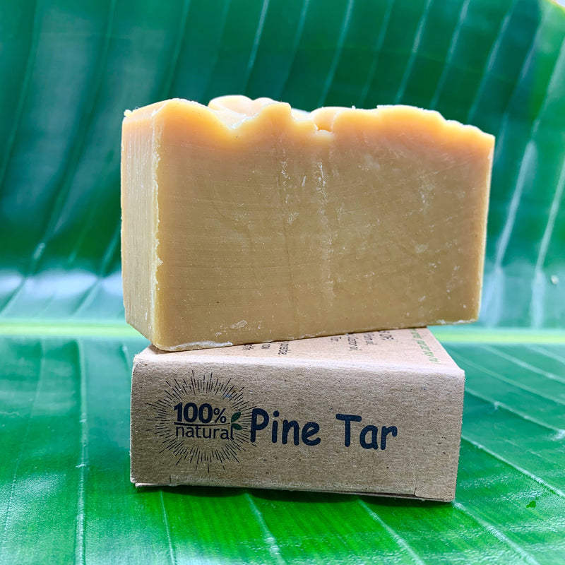 Soap Bar - Pine Tar - 4oz - Basic Bars Soap