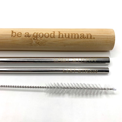 Reusable Straws - Silver Stainless Steel - Last Straw
