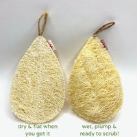 Loofah Dish Scrubber - Miw Piw -----BUNDLE OF 3 - save 15%