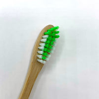 Toothbrush - Medium - GREEN - OLA Bamboo