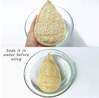 Loofah Dish Scrubber - Miw Piw