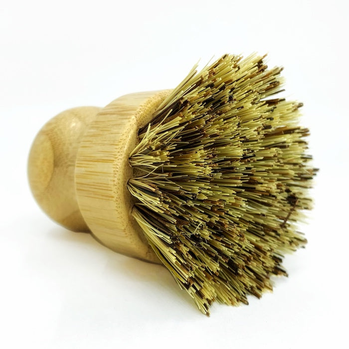 close up dish scrub brush heavy duty sisal agave wood totally plastic free